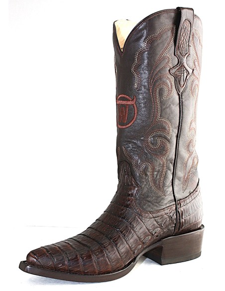 GEN. SANTA ANNA CAIMANO PANCIA (pancia) CAFE HOMME GOWEST SANTIAG