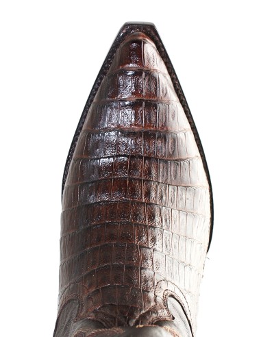 CHIHUAHUA CROCODILE BELLY (ventre) CAFE HOMME...