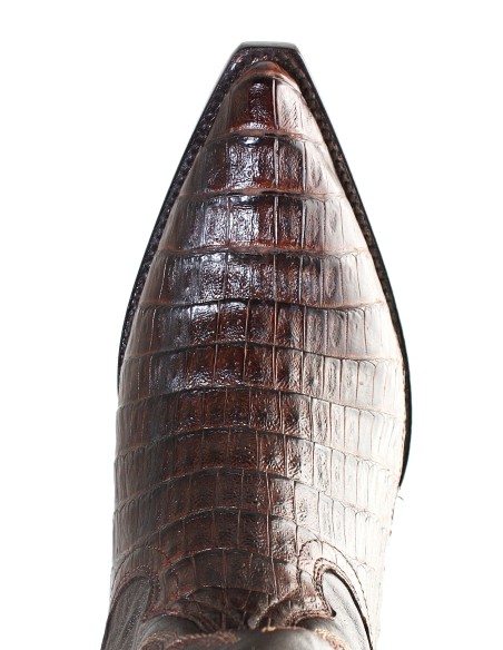 CHIHUAHUA CROCODILE BELLY (ventre) CAFE HOMME GOWEST