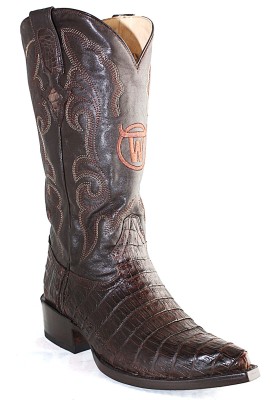 CHIHUAHUA CROCODILE BELLY (ventre) CAFE HOMME GOWEST