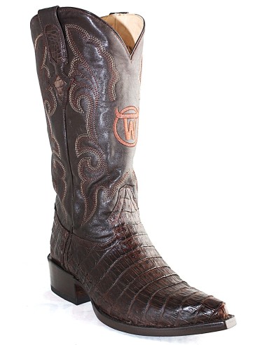 CHIHUAHUA CROCODILE BELLY (ventre) CAFE HOMME...