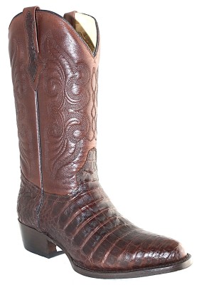 MEMPHIS CAFE COCCODRILLO PANCIA (pancia) UOMO GOWEST SANTIAG