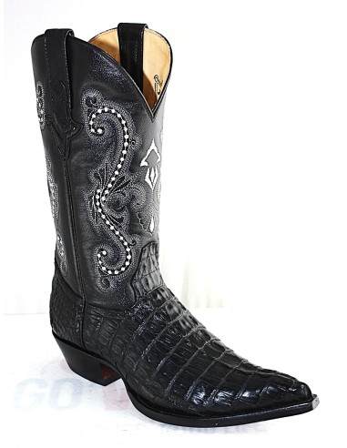 CHIHUAHUA CROCODILE QUEUE NOIRE HOMME GOWEST...