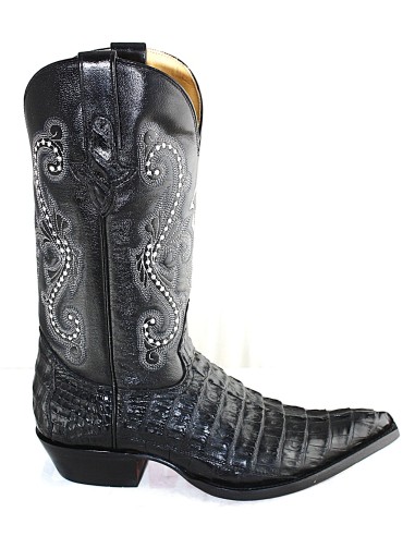 CHIHUAHUA CROCODILE QUEUE NOIRE HOMME GOWEST...