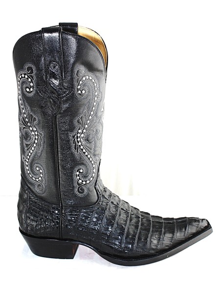 CHIHUAHUA CROCODILE QUEUE NOIRE HOMME GOWEST SANTIAG