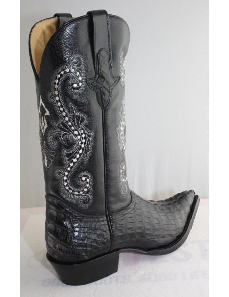 CHIHUAHUA CROCODILE QUEUE NOIRE HOMME GOWEST SANTIAG