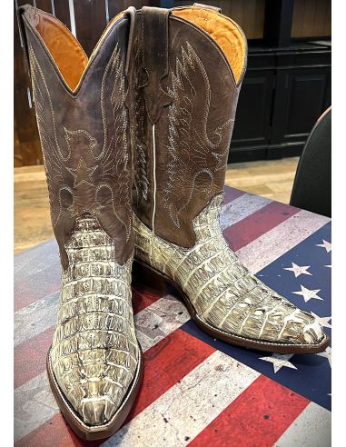 copy of CHIHUAHUA CROCODILE COLA NEGRA GOWEST SANTIAG