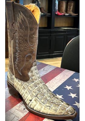 copy of CHIHUAHUA BROWN CROCODILE TAIL