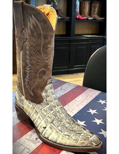 copy of CHIHUAHUA CROCODILE COLA NEGRA GOWEST SANTIAG