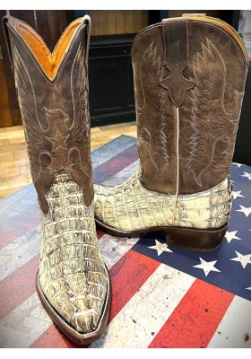 copy of CHIHUAHUA BROWN CROCODILE TAIL 2