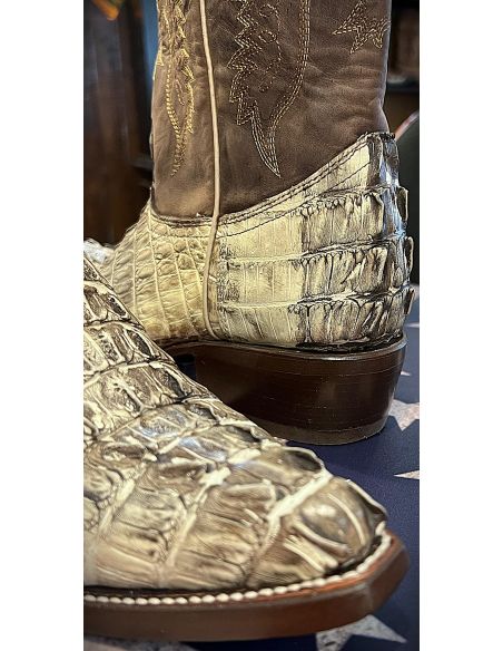 copy of CHIHUAHUA BROWN CROCODILE TAIL