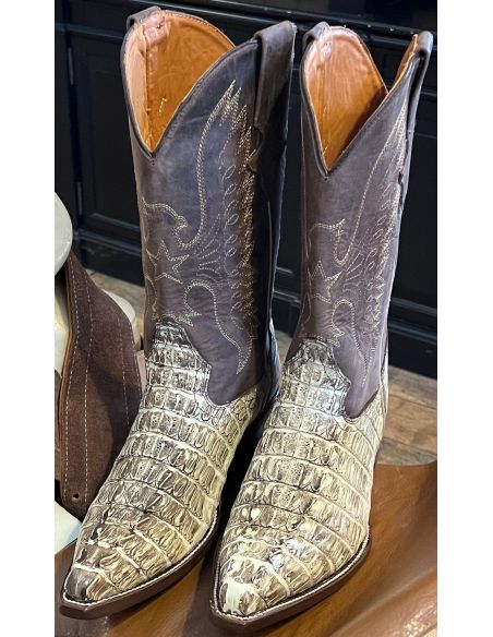 copy of CHIHUAHUA BROWN CROCODILE TAIL