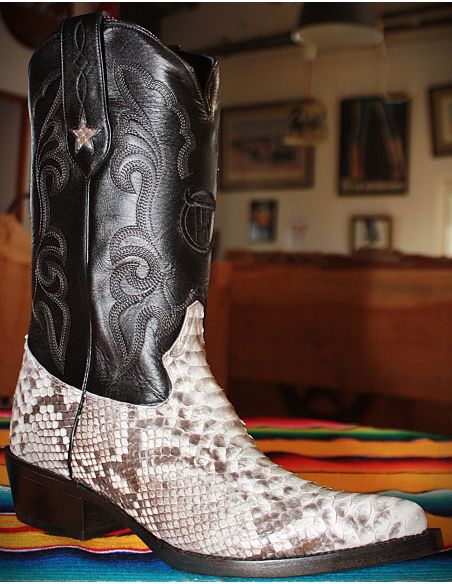 NEW MEXICO PYTHON NATUREL HOMME GOWEST SANTIAG