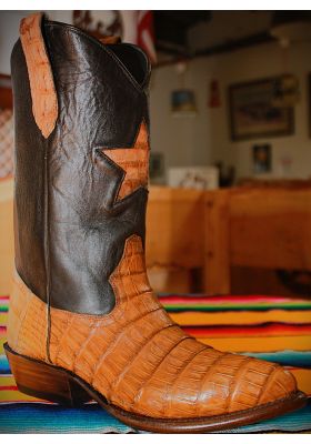 CANICA STAR CROCODILE PEANUT RPB HOMME GOWEST