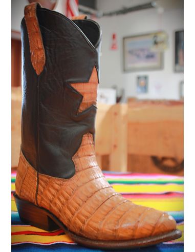 CANICA STAR CROCODILE PEANUT RPB HOMME GOWEST