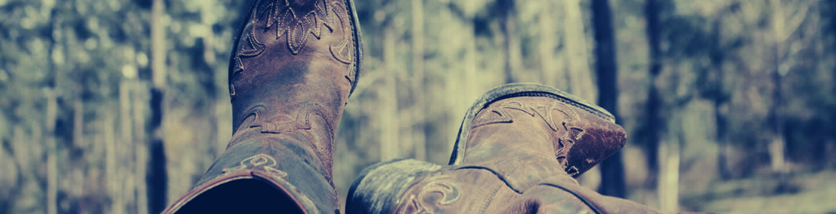 settlement meet Authorization Men's Collection - Go'west Santiag Boots Boots